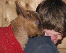 Faint Hope Acres Amber Dancer